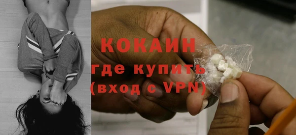 молекула духа Алексин