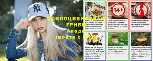 молекула духа Алексин