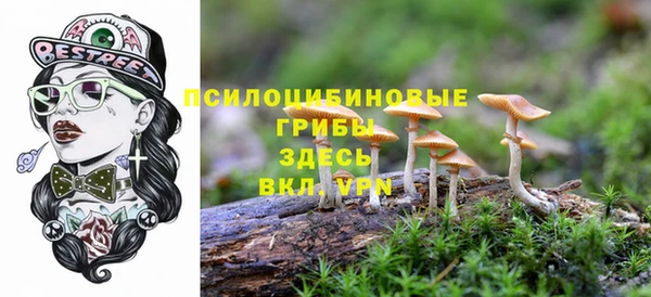 метадон Алзамай