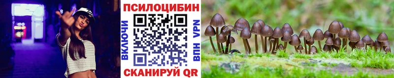 Псилоцибиновые грибы мухоморы  Королёв 